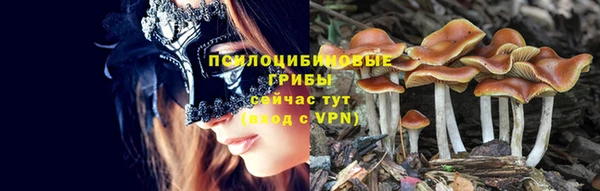 дживик Абинск