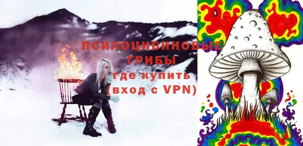 тгк Ростов