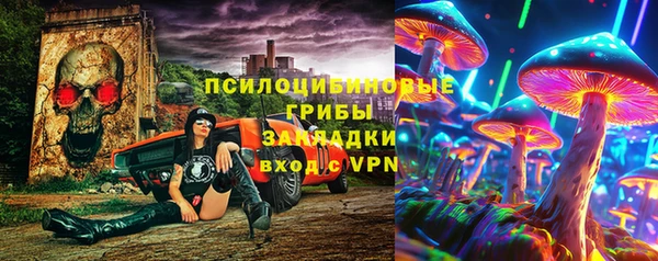 тгк Ростов