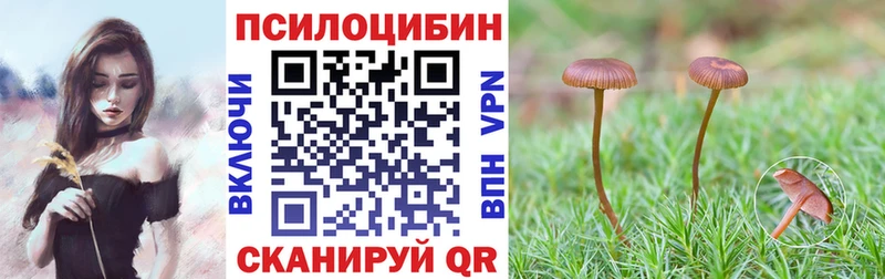 где купить наркоту  мега зеркало  Галлюциногенные грибы Psilocybe  Алатырь 